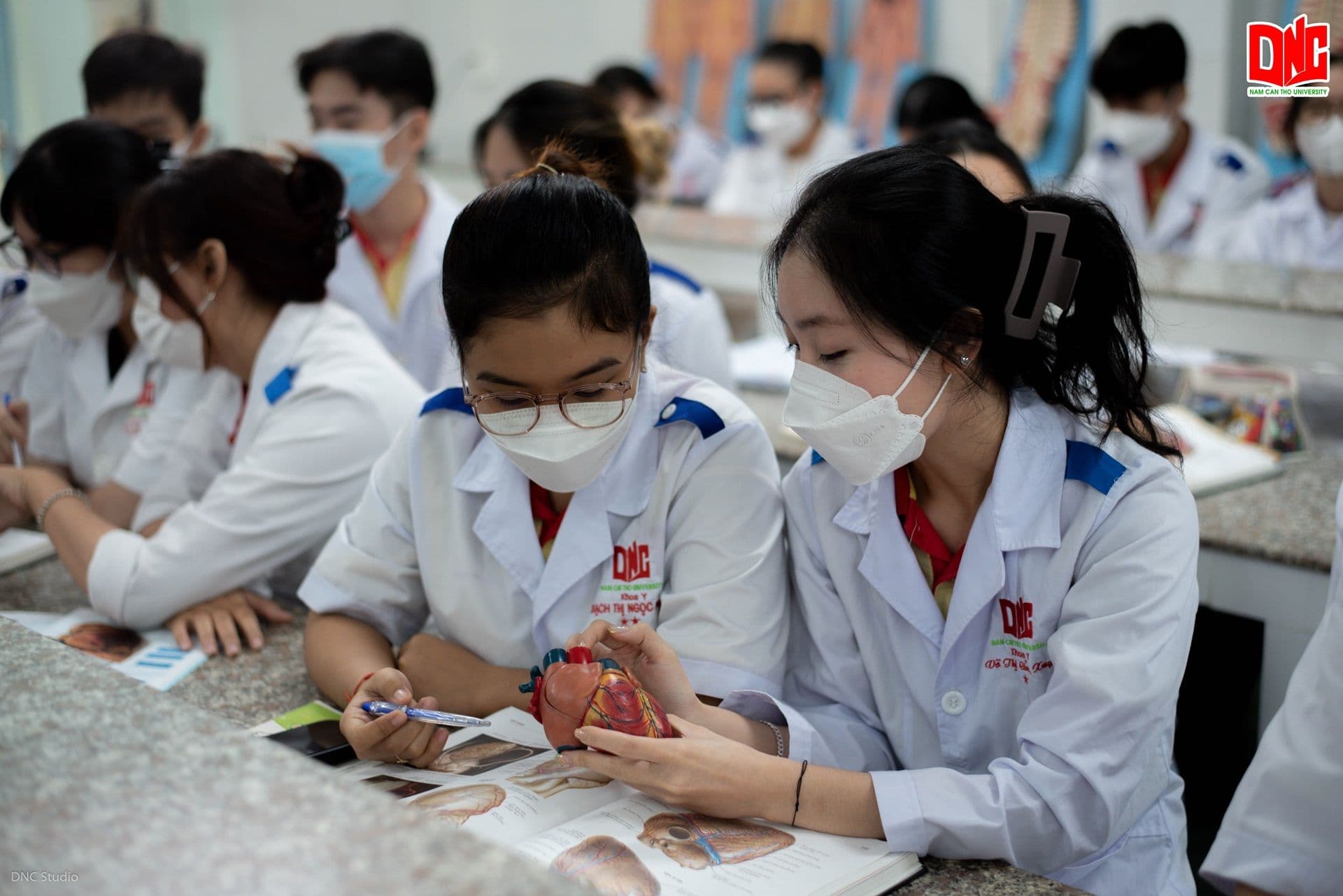 Khoa Y - Chức năng nhiệm vụ