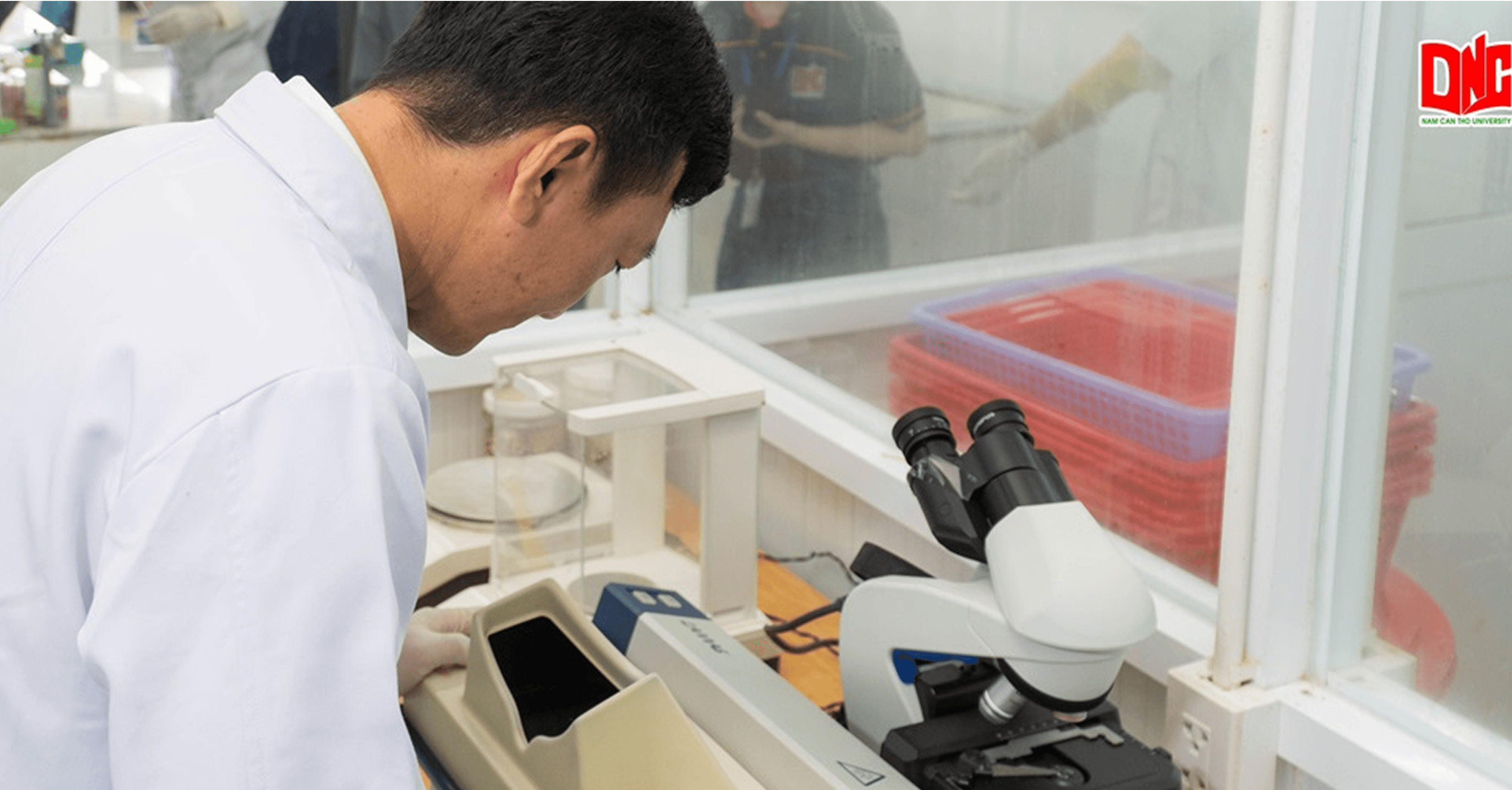 Dược sĩ liên thông